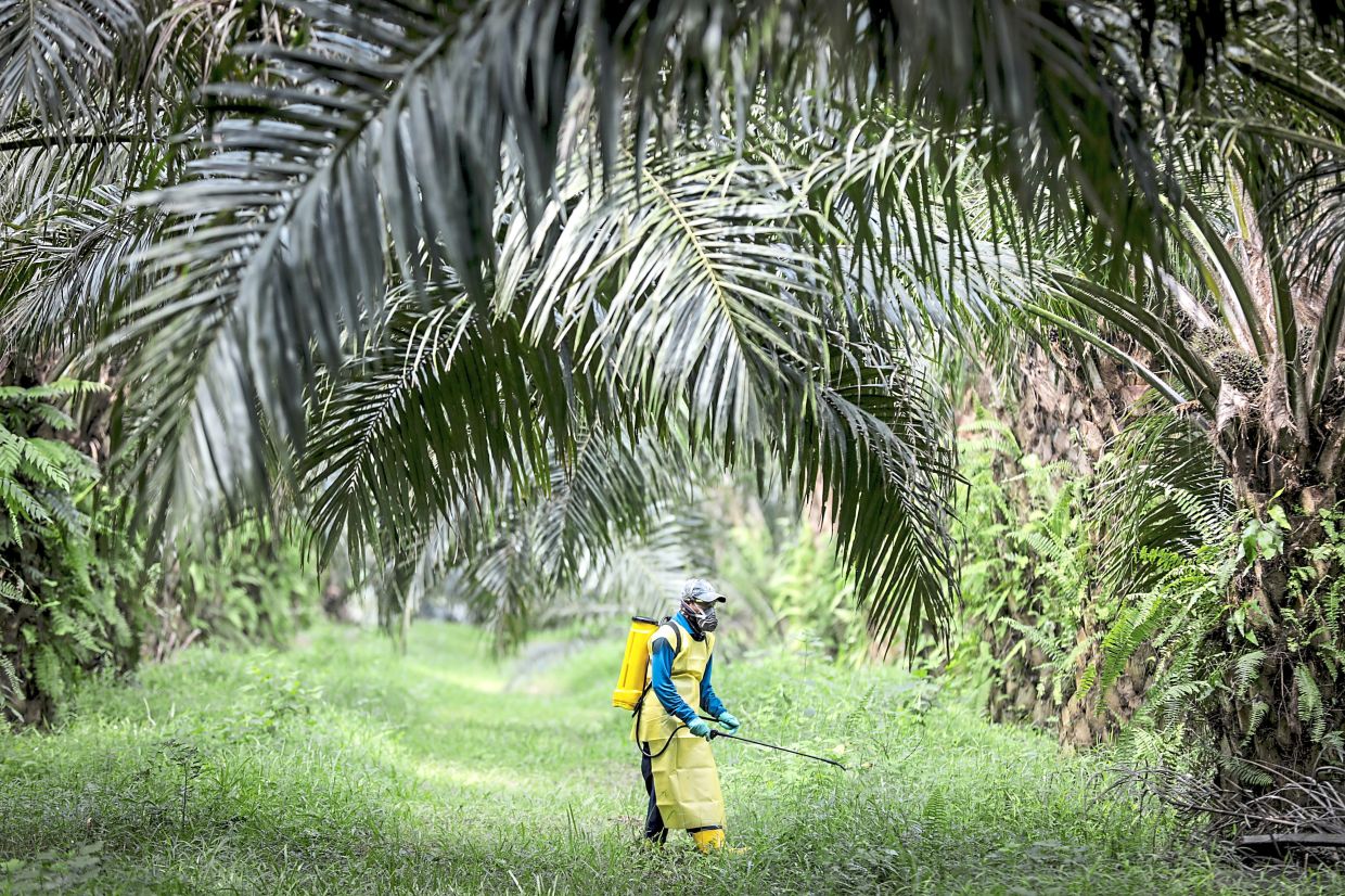 WhatsApp Image 2024-09-23 at 13.23.52